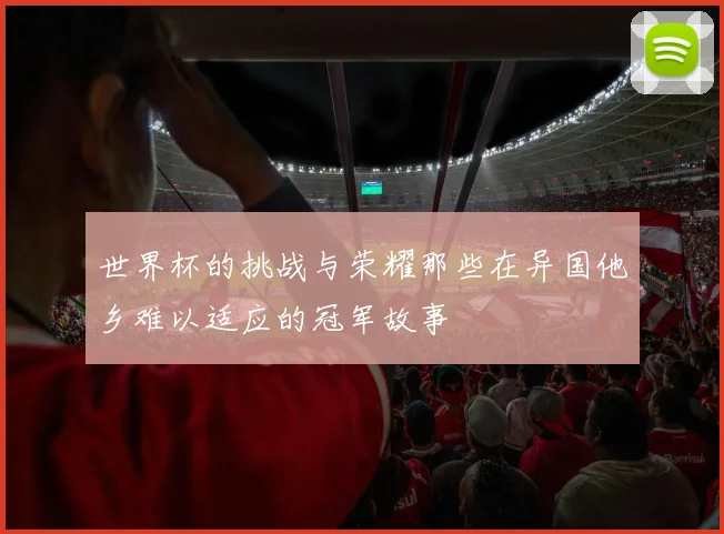 世界杯的挑战与荣耀那些在异国他乡难以适应的冠军故事